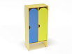 Шкаф для одежды 2-х секционный стандарт (разноцветный (ая), Вариант 9)