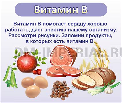 Информационные стенды, Оформление стендов для сада, ВИТАМИН В ДС-0519