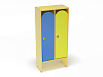 Шкаф для одежды 2-х секционный (разноцветный (ая), Вариант 9)