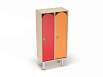 Шкаф 2-х секционный на металлических ножках (каркас дуб с разноцветными фасадами, Вариант 8)