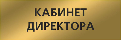 "Кабинет директора", кабинетная табличка "матовое золото"