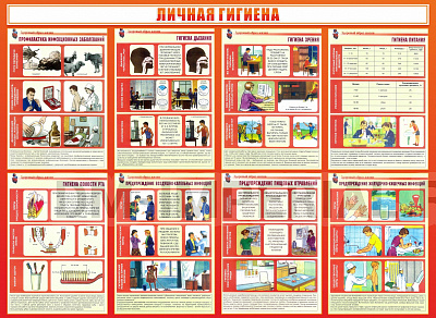 ЛИЧНАЯ ГИГИЕНА