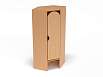 Шкаф для одежды 1-но секционный угловой стандарт (каркас бук, Вариант 1)