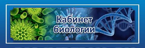 Информационные стенды, Оформление стендов для школы, "Кабинет биологии", кабинетная табличка ШК-0130