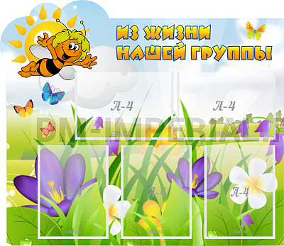 Из жизни нашей группы