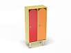 Шкаф 2-х секционный на металлических ножках (разноцветный (ая), Вариант 11)
