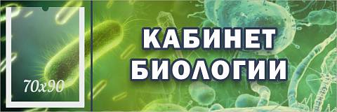 Информационные стенды, Оформление стендов для школы, "Кабинет биологии", кабинетная табличка с карманом ШК-0152