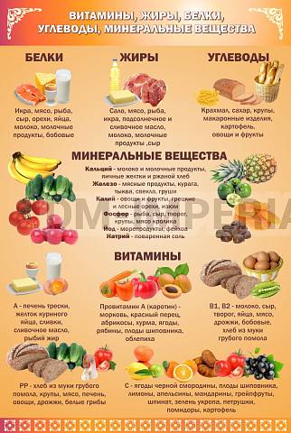 Информационные стенды, Оформление стендов для сада, ВИТАМИНЫ, ЖИРЫ, УГЛЕВОДЫ ШК-3014